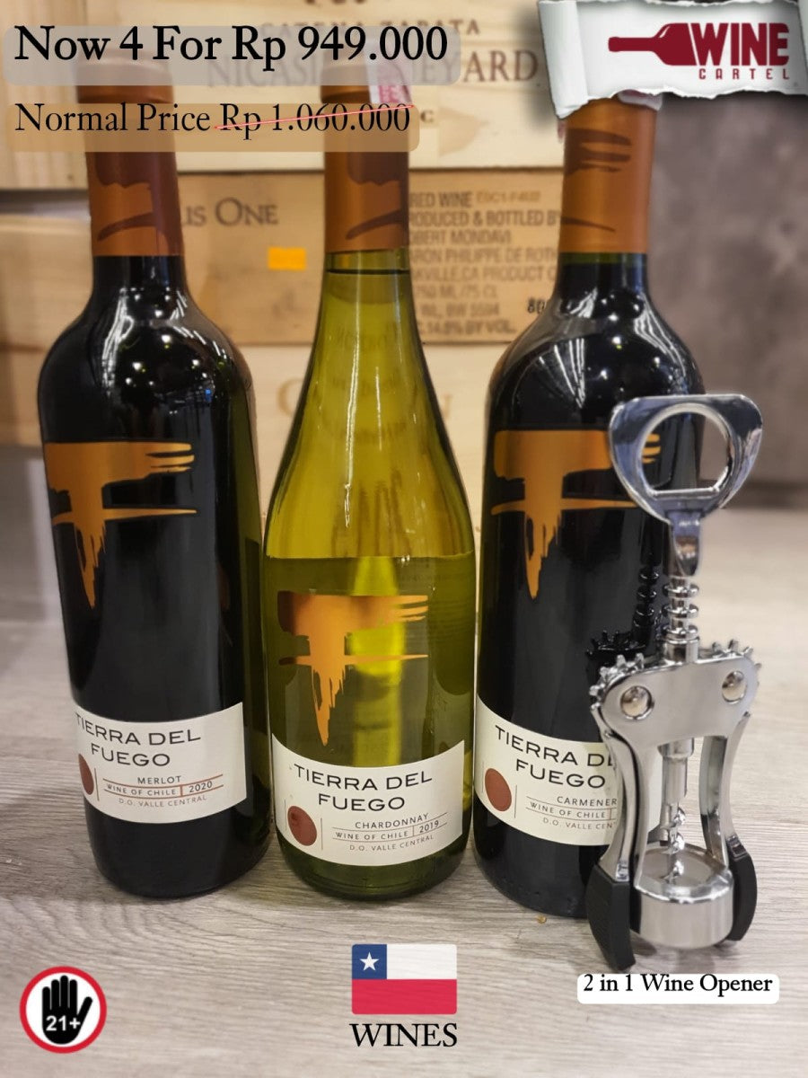 4 FOR 949k Tierra Del Fuego Merlot Chardonnay Carmenere + Wine Opener CHILE